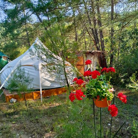 Vinsan Glamping & Wellness Centre Hotel Eleousa Ngoại thất bức ảnh