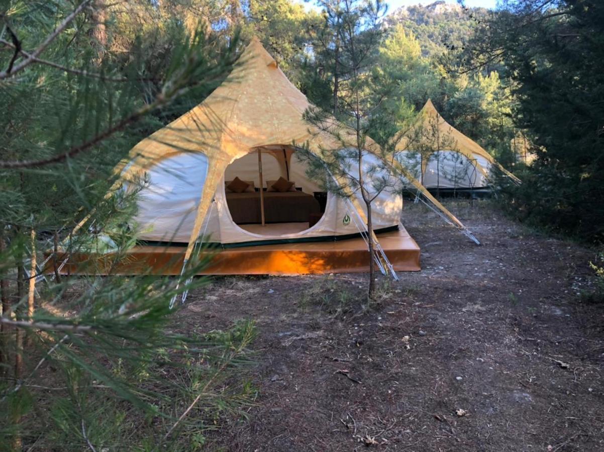 Vinsan Glamping & Wellness Centre Hotel Eleousa Ngoại thất bức ảnh