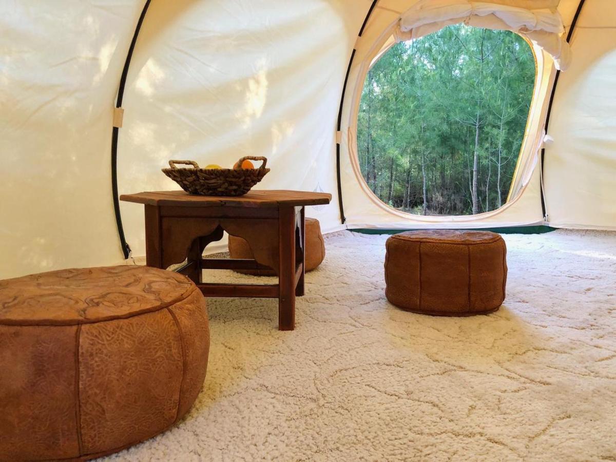 Vinsan Glamping & Wellness Centre Hotel Eleousa Ngoại thất bức ảnh
