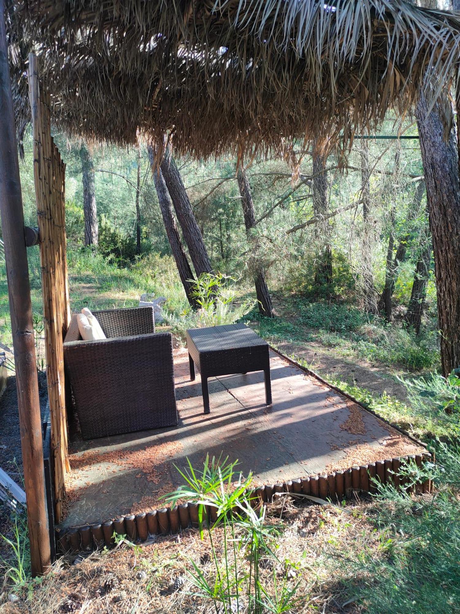 Vinsan Glamping & Wellness Centre Hotel Eleousa Ngoại thất bức ảnh